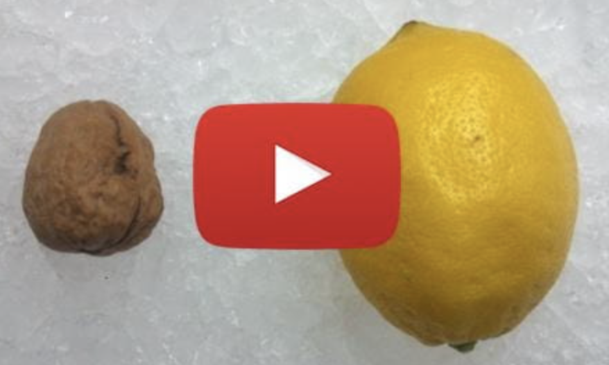 Lemon image used in prostate health advertorial